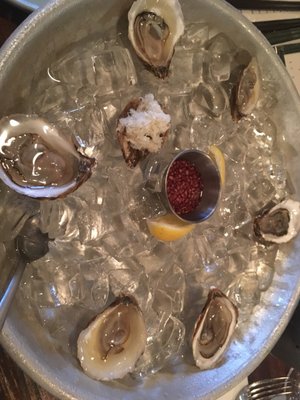 Oregon Bar à vin by null