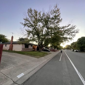 Golden Roots Tree Care - Tree Services Near Me - Sacramento, California Golden Roots Tree Care - Tree Services Near Me - Sacramento, California