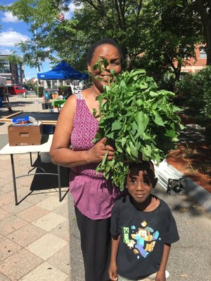 East Boston Farmers' Market by null