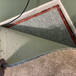 Carpet Direct - second install - Carpeting Near Me - Fraser, Michigan