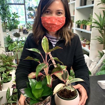 Plant Terra - At Plant Terra - Nurseries & Gardening Near Me - Hayward, California Plant Terra - At Plant Terra - Nurseries & Gardening Near Me - Hayward, California