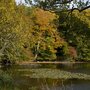 Photo of Arboretet