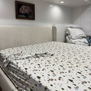 HeatRx - My upholstered bed frame. - Pest Control Near Me - San Jose, California