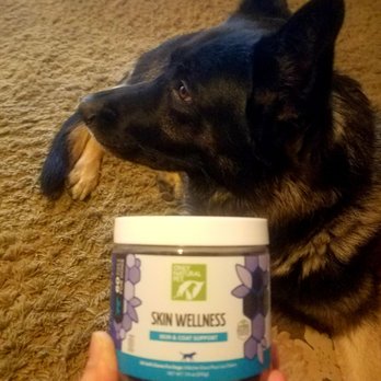 PetSmart - I said no! - Pet Stores Near Me - Dublin, California