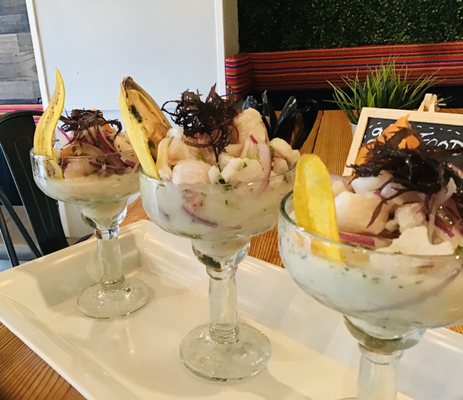 Mr Ceviche Biscayne Blvd by null