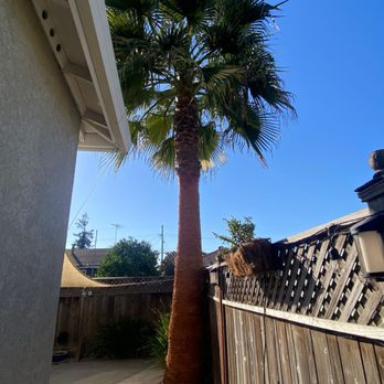 USA Palms - After - Junk Removal & Hauling Near Me USA Palms - After - Junk Removal & Hauling Near Me