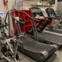 Photo of Customized Nutrition & Exercise