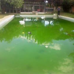 Buddha Village - Piscina - lago