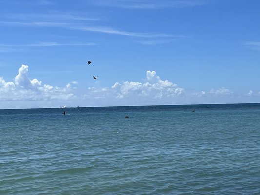 Playa La Jungla by null