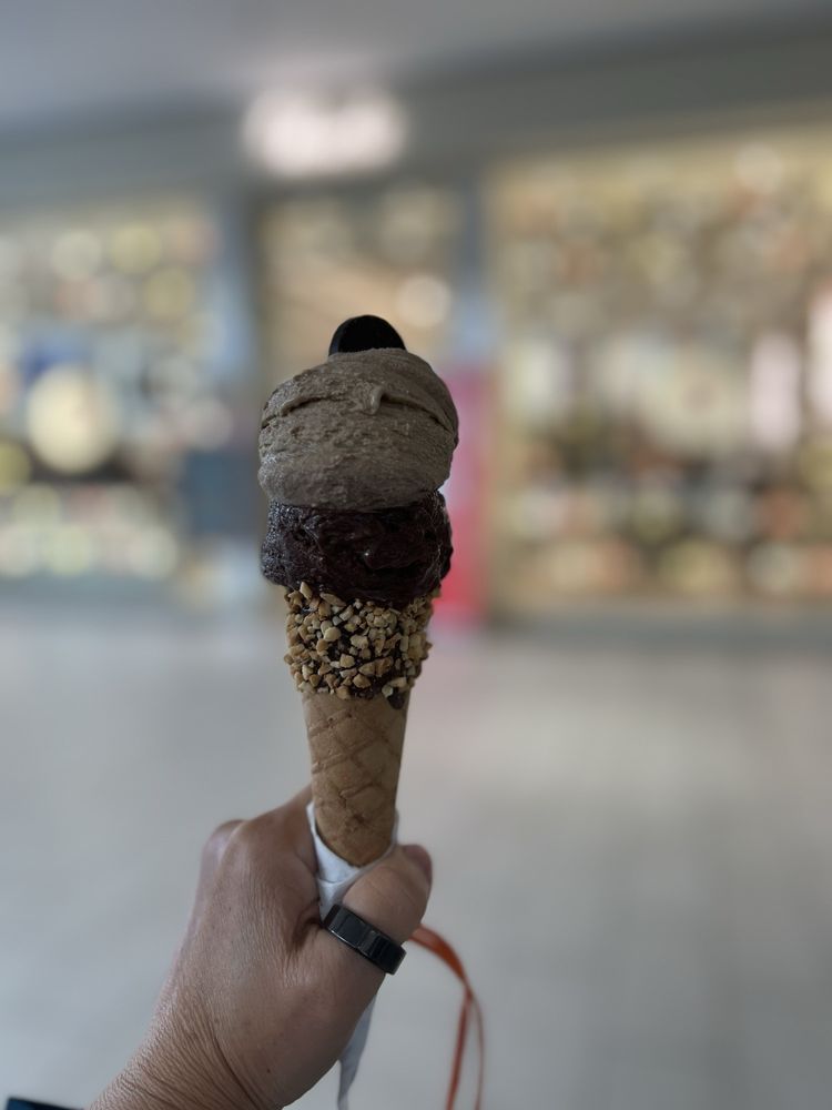 VENCHI Updated November 2024 145 Photos & 23 Reviews 6000 Glades