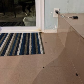 Beachview Rentals - Cockroaches everywhere - Property Management Near Me - Newport Beach, California
