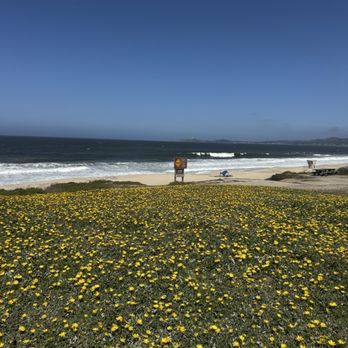 Straight Wheel Cycling - Rode our bikes along the coast - Bikes Near Me - Half Moon Bay, California Straight Wheel Cycling - Rode our bikes along the coast - Bikes Near Me - Half Moon Bay, California