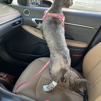 Petco - Pet Stores Near Me - Brea, California
