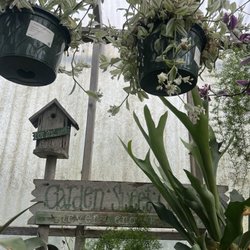 Drought Resistant Nursery