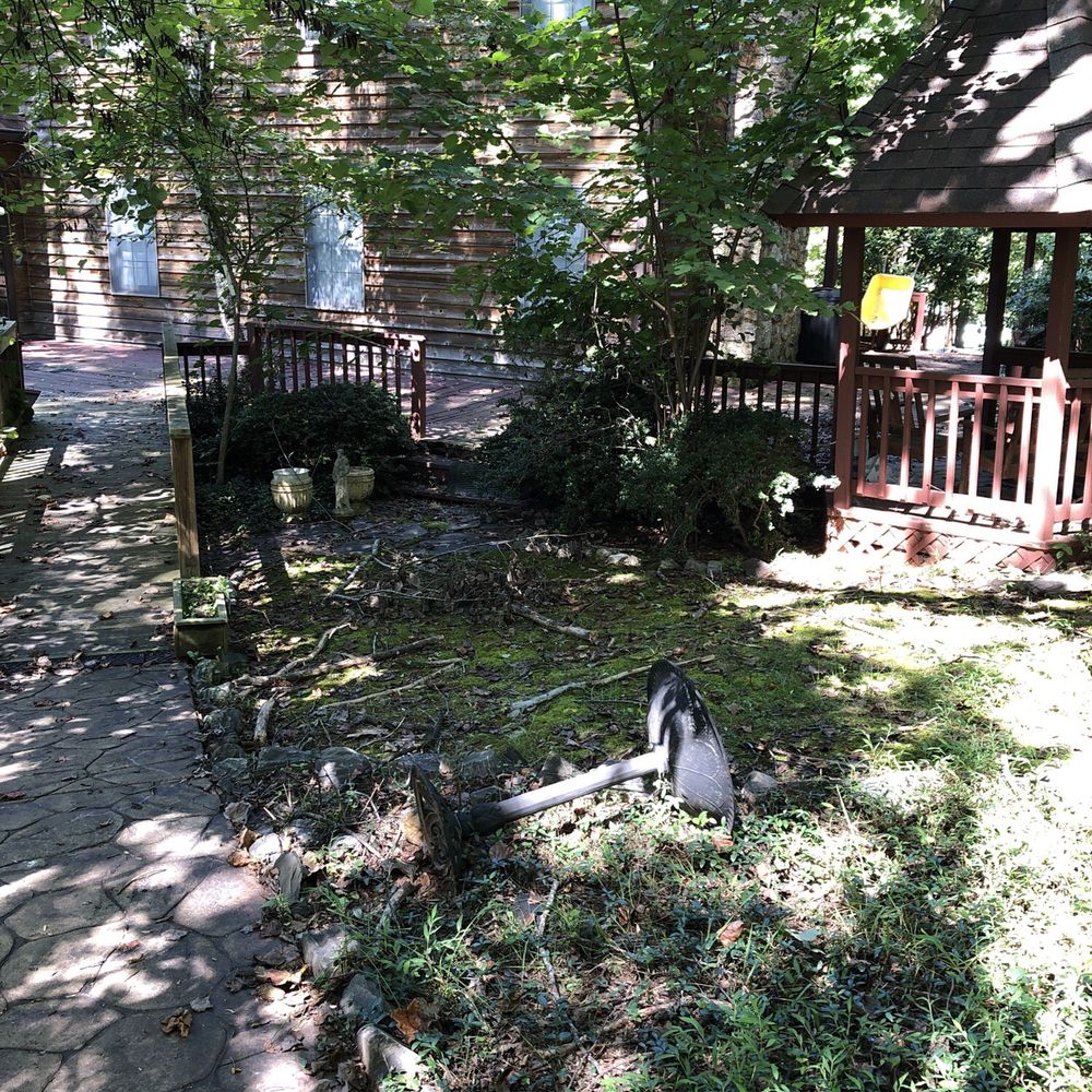 The Lawn Guy - Is this any way to keep my lawn? - Tree Services Near Me - Forest, Virginia