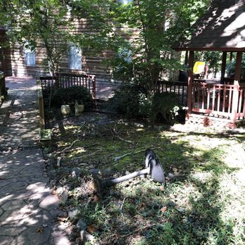 The Lawn Guy - Is this any way to keep my lawn? - Tree Services Near Me - Forest, Virginia The Lawn Guy - Is this any way to keep my lawn? - Tree Services Near Me - Forest, Virginia
