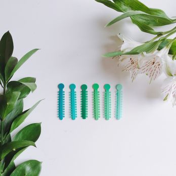 CTOR Ortho - spring colors - Orthodontists Near Me - Hoboken, New Jersey