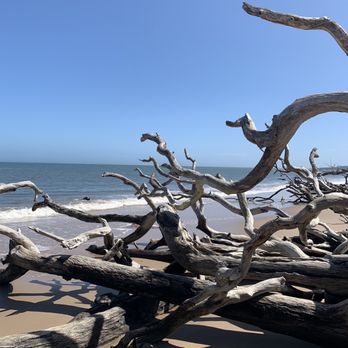 Big Talbot Island State Park - Parks Near Me - Jacksonville, Florida Big Talbot Island State Park - Parks Near Me - Jacksonville, Florida
