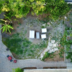 Kalorama Landscape - Before