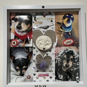 Lap of Love - Pet - Veterinarians Near Me Lap of Love - Pet - Veterinarians Near Me