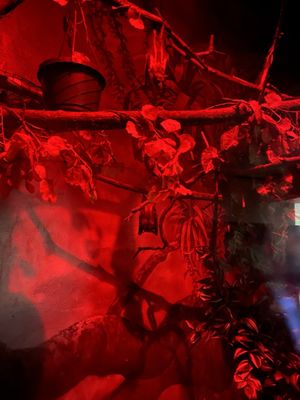 Prospect Park Zoo by null