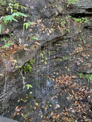 Black Rock Mountain State Park by null