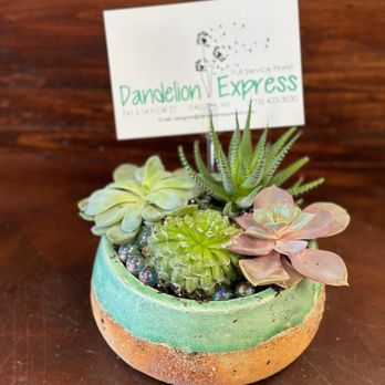 Dandelion Express - Florists Near Me - Fallon, Nevada