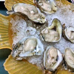 Oysters