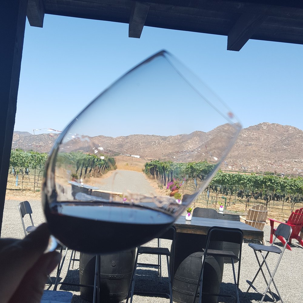 Trevista Vineyards - Triple view - Wine Tasting Room Near Me - Ensenada, BCN