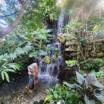 Krohn Conservatory - Botanical Gardens Near Me - Cincinnati, Ohio