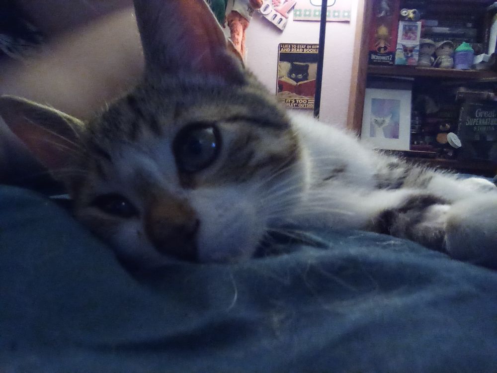 Slide of Bob's Roofing & Handyman