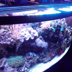 Tropi-Quatics Pet Centre
