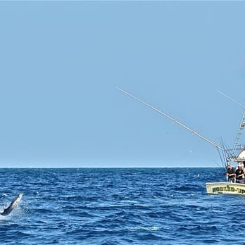 Hooked Up Charters - Fishing Near Me - Islamorada, Florida Hooked Up Charters - Fishing Near Me - Islamorada, Florida