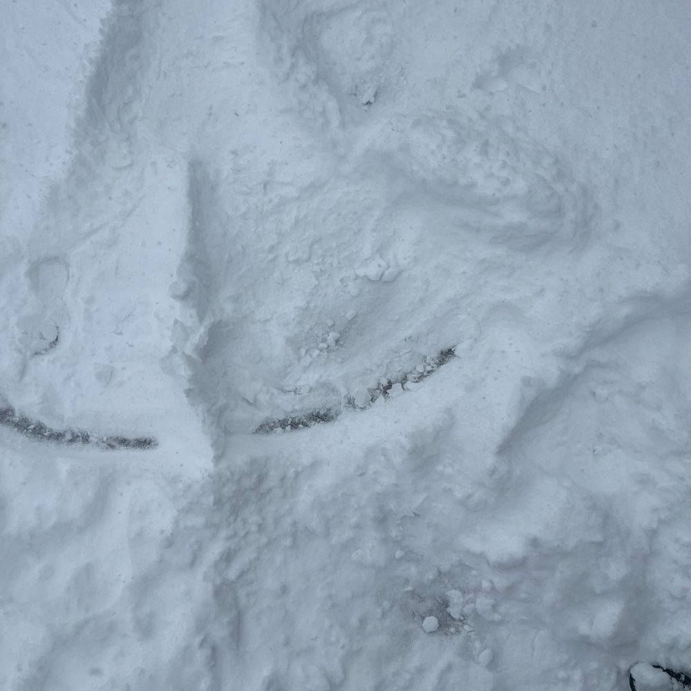Donner Ski Ranch - My snow angel - Ski Resorts Near Me - Norden, California Donner Ski Ranch - My snow angel - Ski Resorts Near Me - Norden, California