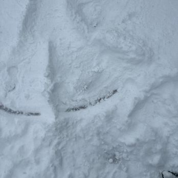 Donner Ski Ranch - My snow angel - Ski Resorts Near Me - Norden, California