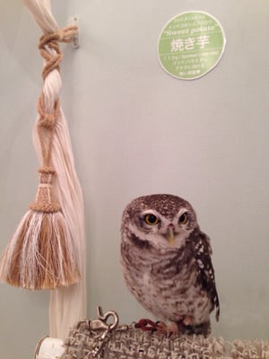 Owl Cafe Tokyo by null