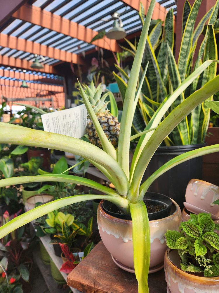 LEITNER’S GARDEN CENTER Updated October 2024 40 Photos & 13 Reviews