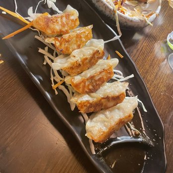 Sushi Train - Pork Gyoza - Sushi Bars Near Me - Romeoville, Illinois