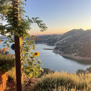 Airola Road Vineyards - Beautiful views - Venues & Event Spaces Near Me - Murphys, California
