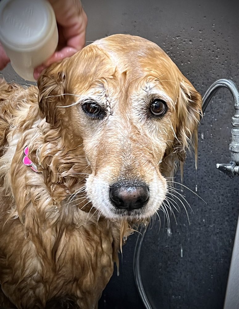 LEMOS FEED & PET SUPPLY Updated October 2024 12 Photos & 30 Reviews