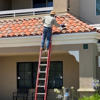 ATCO Pest Control - Pest Control Near Me - Petaluma, California ATCO Pest Control - Pest Control Near Me - Petaluma, California