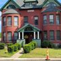 Photo of Connecticut Feline Medicine and Surgery