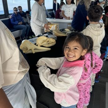 Legacy Whale Watch - Activities for kids - Whale Watching Tours Near Me - San Diego, California Legacy Whale Watch - Activities for kids - Whale Watching Tours Near Me - San Diego, California