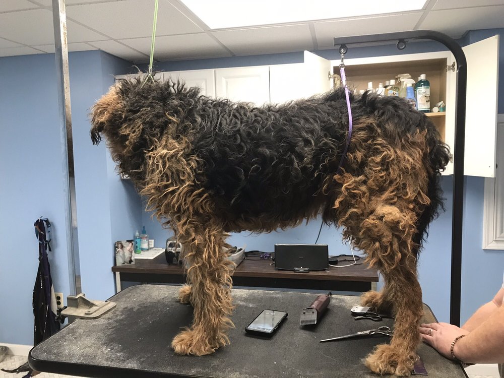 WINSLOW’S WAGS & WIGGLES, LLC Updated September 2024 5141 Overlook