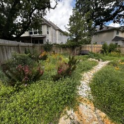 Urban Gardens - We transformed this client lawn from grass to a native landscape