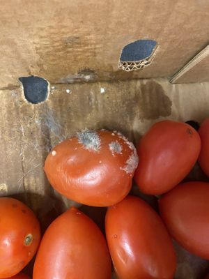 ALDI by null