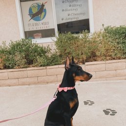 Exterior photo of It's A Dog's World K-9 Academy - Glendora, California Exterior photo of It's A Dog's World K-9 Academy - Glendora, California