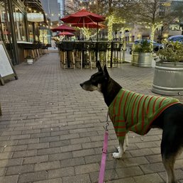 Outside Outside