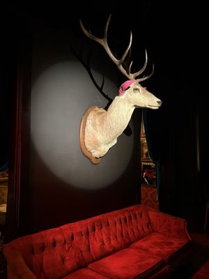 Pensão Amor by null