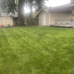 a backyard with a lawn and shed a backyard with a lawn and shed